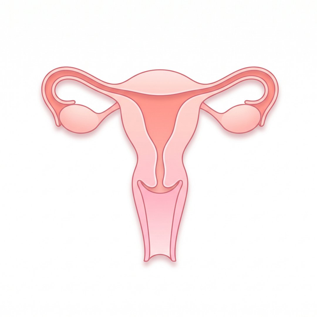 Vaginal hysterectomy
